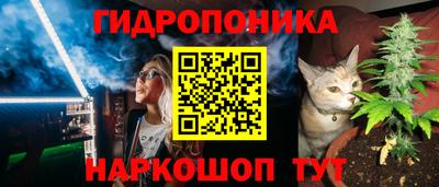 гашик Туймазы